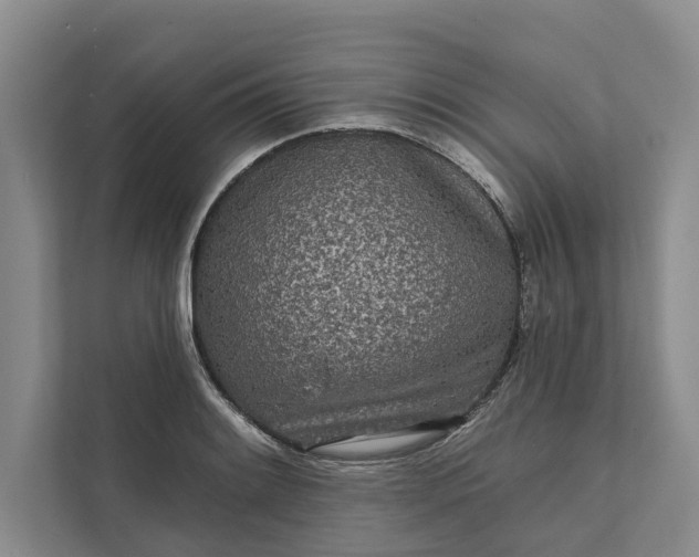 X0000111871084200908061249