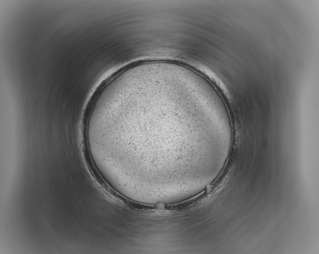 X0000111871085200908061249