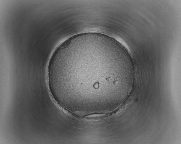 X0000111871088200908061249