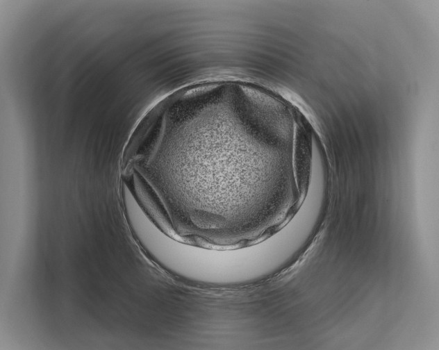 X0000111871089200908061249