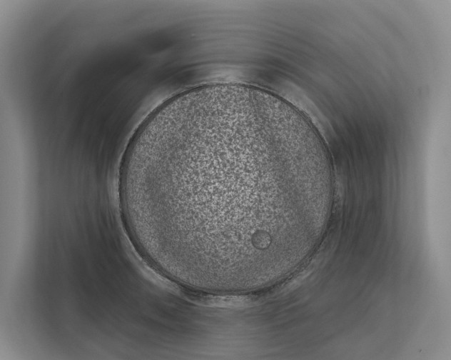 X0000111871090200908061249