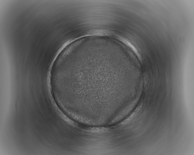 X0000111871091200908061249