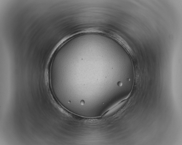 X0000111871092200908061249