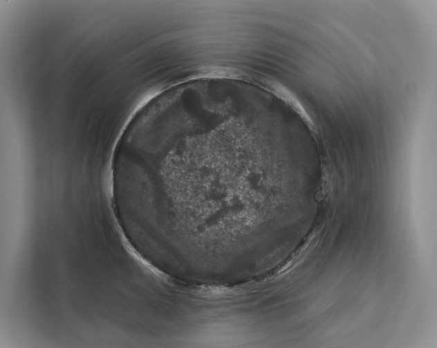 X0000111871095200908061249