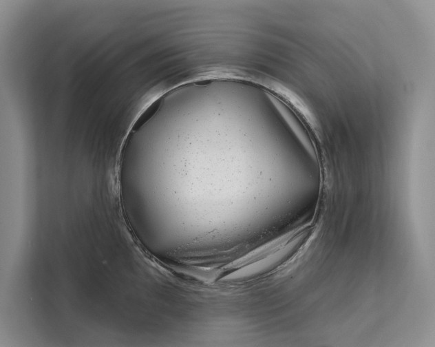 X0000111871097200908061249