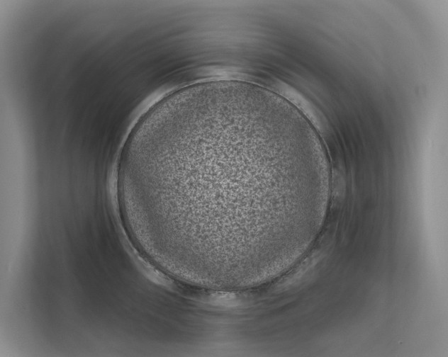 X0000111871098200908061249