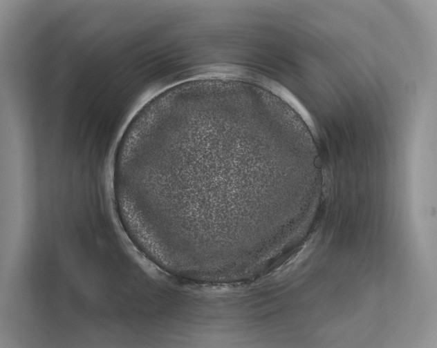 X0000111871099200908061249