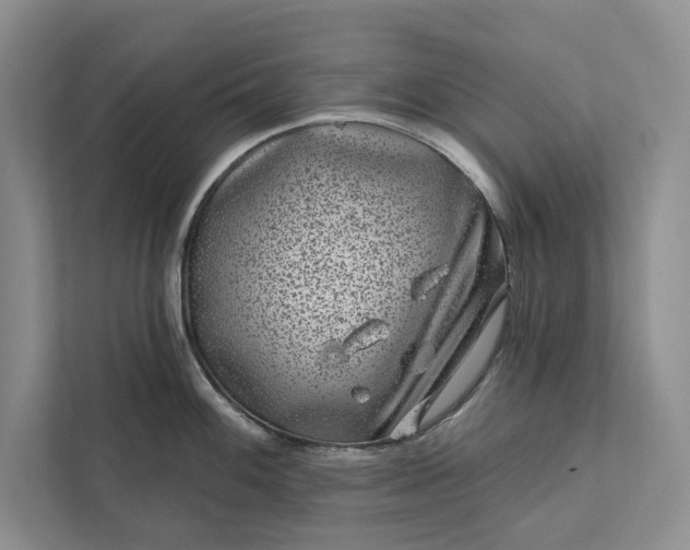 X0000111871100200908061249