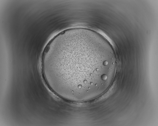 X0000111871101200908061249