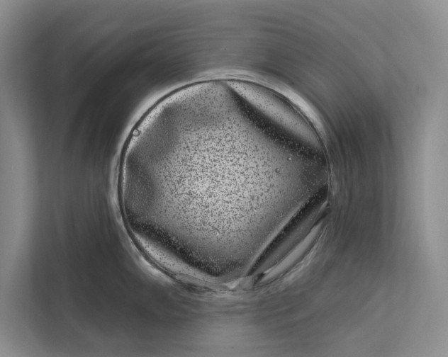 X0000111871102200908061249