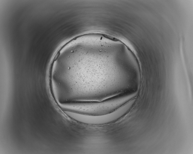 X0000111871104200908061249