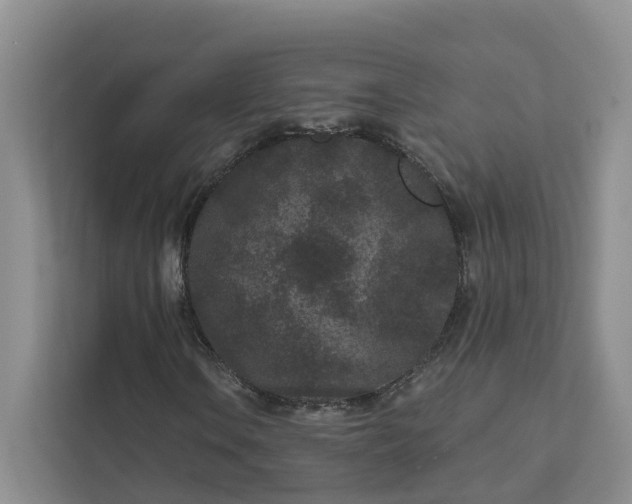 X0000111871106200908061248