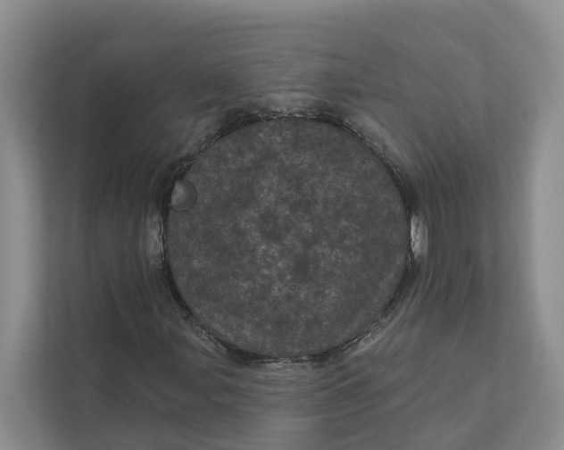 X0000111871107200908061248