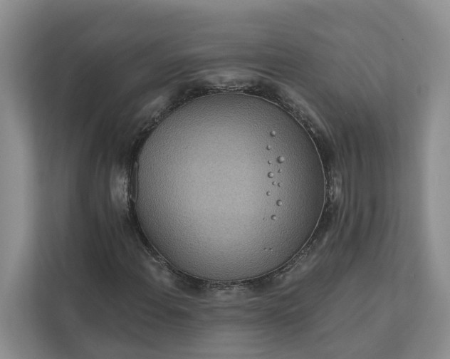 X0000111871108200908061248