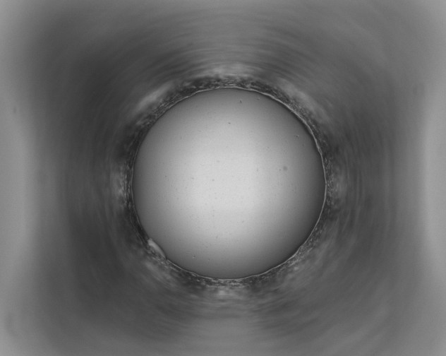 X0000111871110200908061248