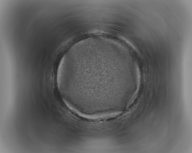 X0000111871111200908061248