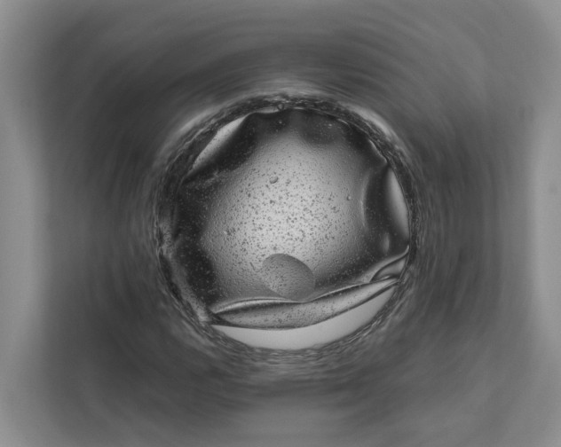 X0000111871112200908061248