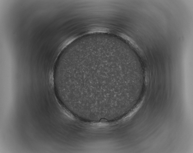 X0000111871113200908061248