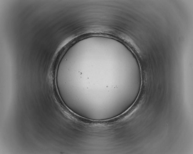 X0000111871114200908061248