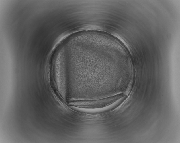 X0000111871115200908061248