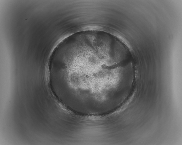 X0000111871117200908061248