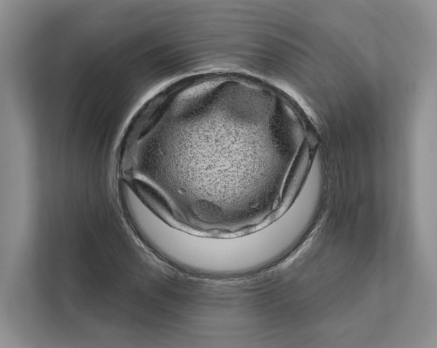 X0000111871118200908061248