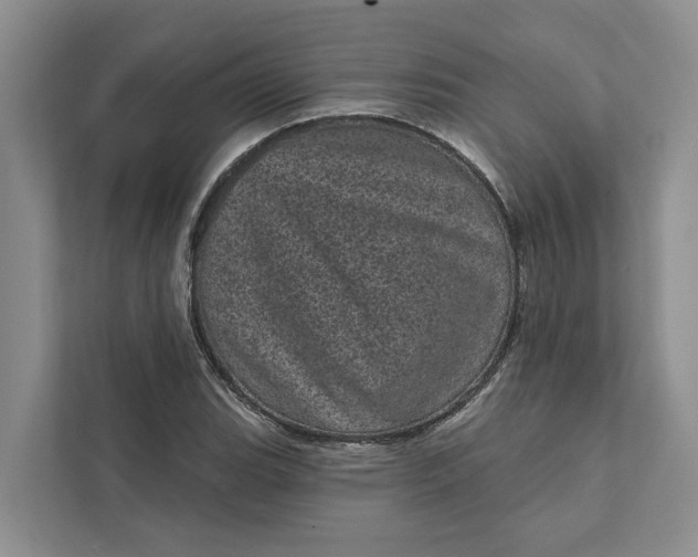 X0000111871119200908061248