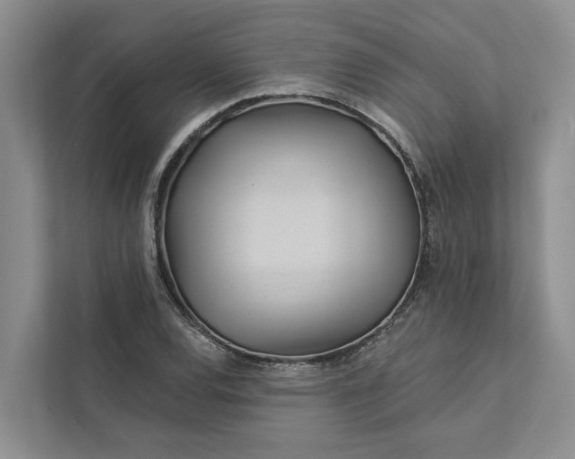 X0000111871120200908061248