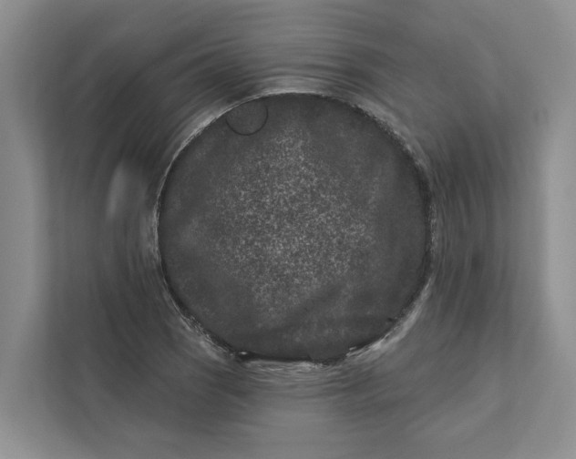 X0000111871121200908061248