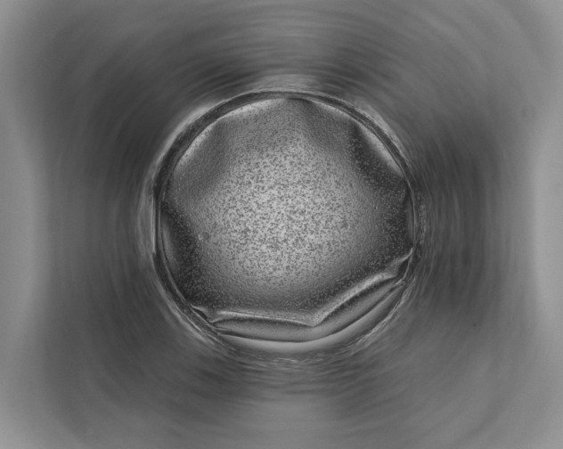 X0000111871123200908061248