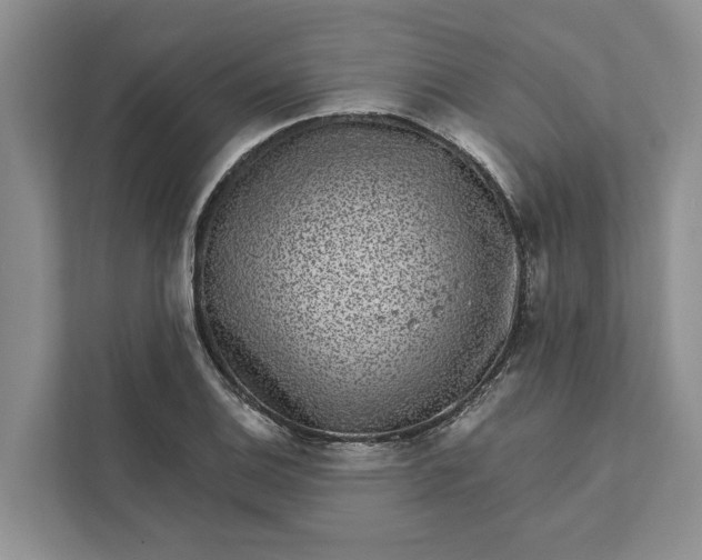 X0000111871124200908061248