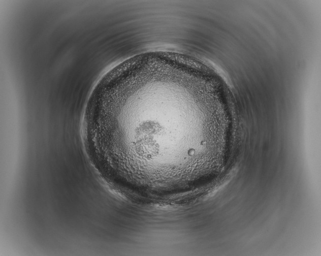 X0000111871125200908061248