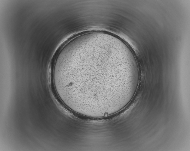 X0000111871126200908061248