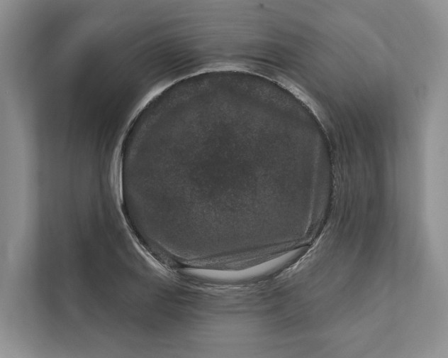 X0000111871127200908061248