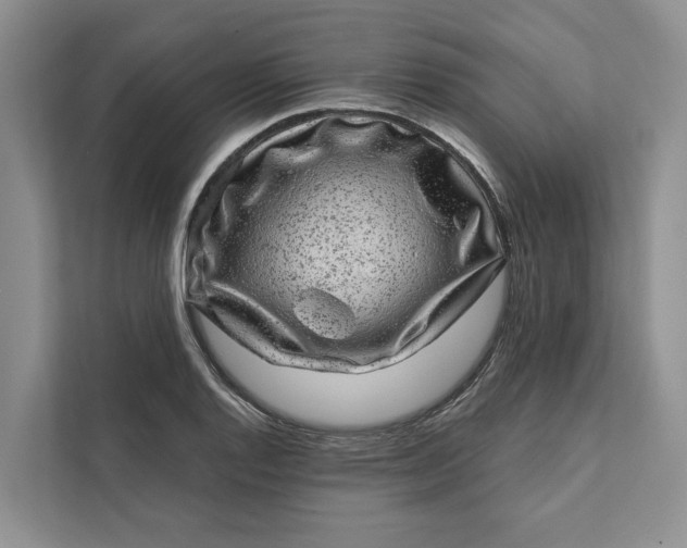 X0000111871128200908061248