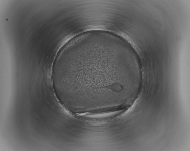 X0000111871129200908061248