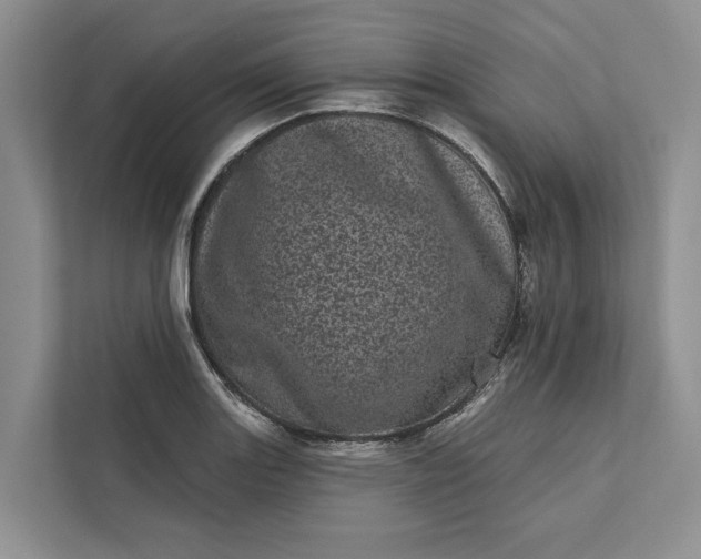 X0000111871131200908061248