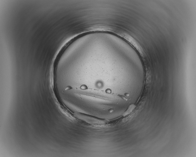 X0000111871132200908061248