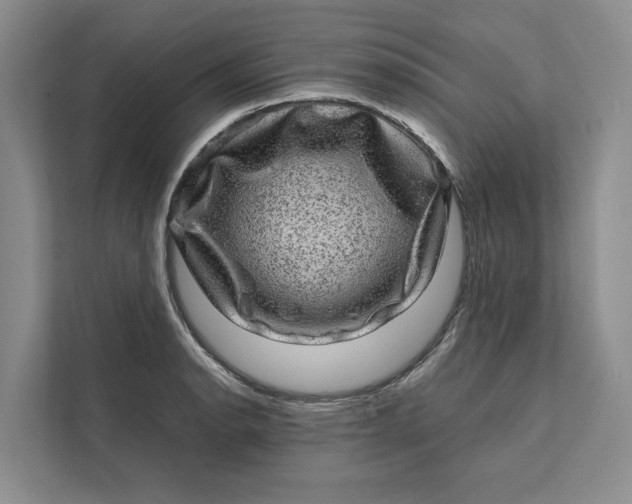 X0000111871134200908061248