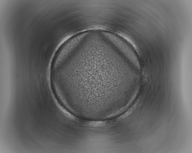 X0000111871135200908061248