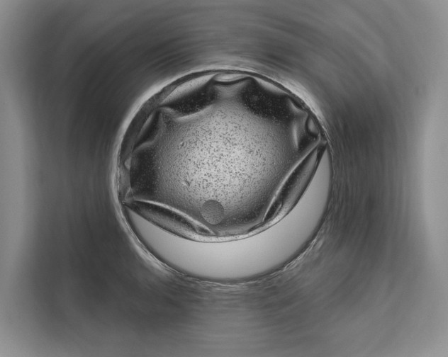 X0000111871136200908061248