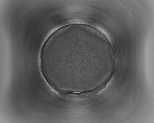 X0000111871141200908061249