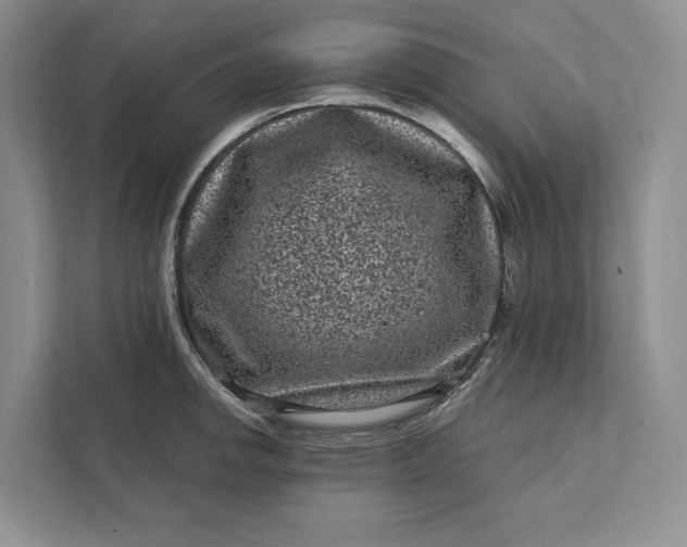 X0000111871142200908061249