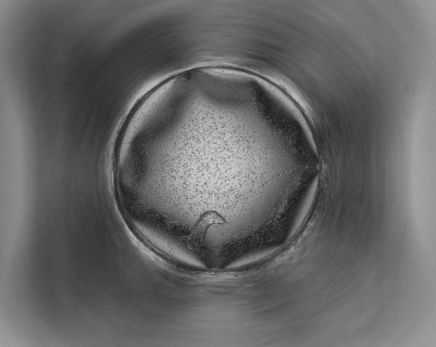 X0000111871143200908061249