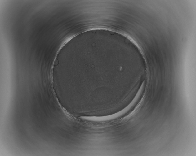 X0000111871145200908061249