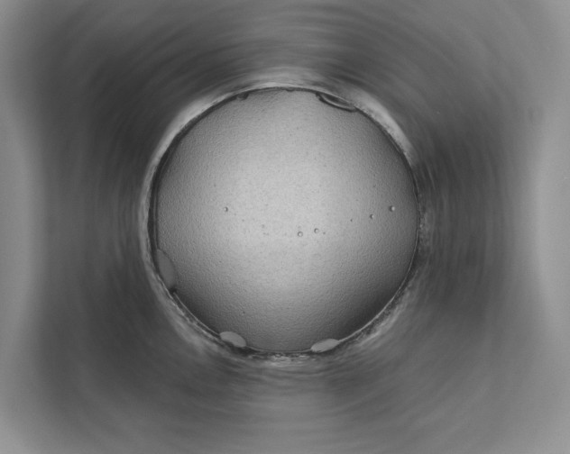 X0000111871146200908061249