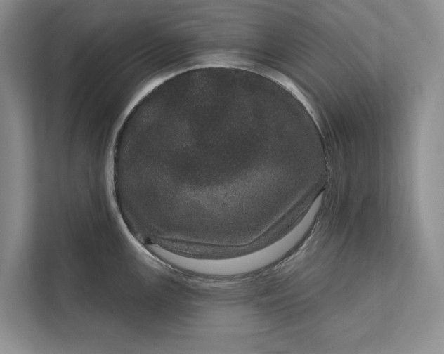 X0000111871147200908061249