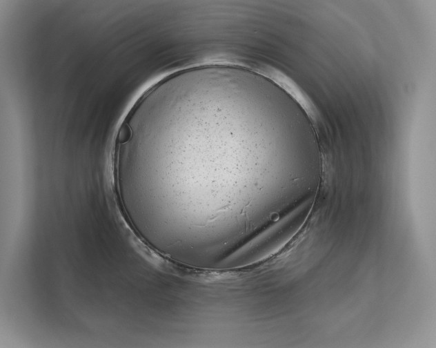 X0000111871148200908061249