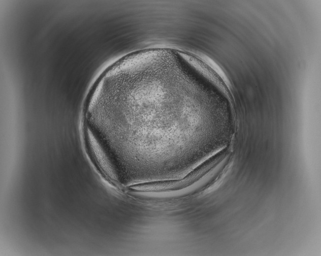 X0000111871149200908061249