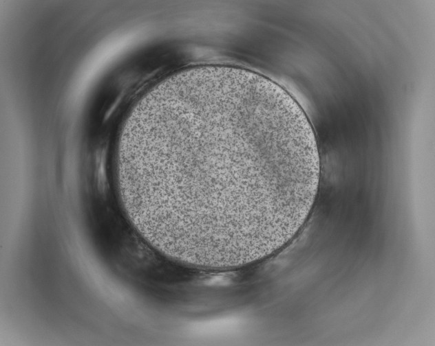 X0000111871150200908061249